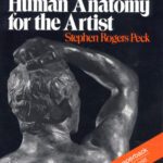خرید و دانلود نسخه کامل کتاب Atlas of Human Anatomy for the Artist (Galaxy Books)