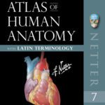 خرید و دانلود نسخه کامل کتاب Atlas of Human Anatomy: Latin Terminology: Atlas of Human Anatomy: Latin Terminology E-Book (Netter Basic Science)