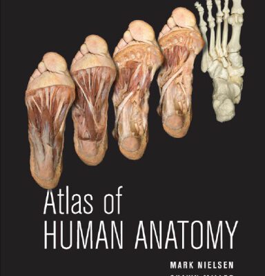 خرید و دانلود نسخه کامل کتاب Atlas of Human Anatomy