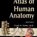 خرید و دانلود نسخه کامل کتاب Atlas of Human Anatomy