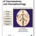 خرید و دانلود نسخه کامل کتاب Atlas of Neuroanatomy and Neurophysiology: Selections from the Netter Collection of Medical Illustrations {Special Edition}