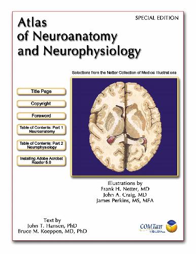 خرید و دانلود نسخه کامل کتاب Atlas of Neuroanatomy and Neurophysiology: Selections from the Netter Collection of Medical Illustrations {Special Edition}_68b9380727c81.jpeg خرید و دانلود نسخه کامل کتاب Atlas of Neuroanatomy and Neurophysiology: Selections from the Netter Collection of Medical Illustrations {Special Edition}