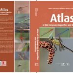 خرید و دانلود نسخه کامل کتاب Atlas of the European dragonflies and damselflies