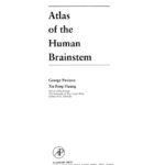 خرید و دانلود نسخه کامل کتاب Atlas of the Human Brainstem