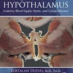 خرید و دانلود نسخه کامل کتاب Atlas of the Human Hypothalamus: Anatomy, Blood Supply, Myelo-, and Cytoarchitecture