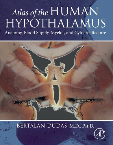 خرید و دانلود نسخه کامل کتاب Atlas of the Human Hypothalamus: Anatomy, Blood Supply, Myelo-, and Cytoarchitecture_68bb2275e9d2c.jpeg خرید و دانلود نسخه کامل کتاب Atlas of the Human Hypothalamus: Anatomy, Blood Supply, Myelo-, and Cytoarchitecture