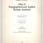 خرید و دانلود نسخه کامل کتاب Atlas of topographical and applied human anatomy (Vol. 1)