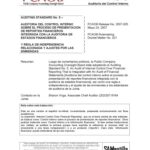 خرید و دانلود نسخه کامل کتاب Auditoría del control interno