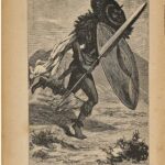 خرید و دانلود نسخه کامل کتاب Auf Bergeshöhen Deutsch-Afrikas