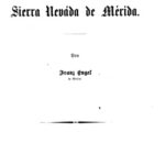 خرید و دانلود نسخه کامل کتاب Auf der Neváda de Mérida