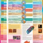 خرید و دانلود نسخه کامل کتاب Australia through Time – Geological Time Scale