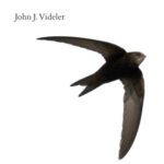خرید و دانلود نسخه کامل کتاب Avian flight