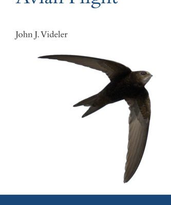 خرید و دانلود نسخه کامل کتاب Avian flight