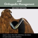 خرید و دانلود نسخه کامل کتاب Avian Surgical Anatomy And Orthopedic Management