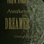 خرید و دانلود نسخه کامل کتاب Awakening the Dreamer: Clinical Journeys