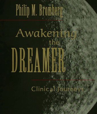 خرید و دانلود نسخه کامل کتاب Awakening the Dreamer: Clinical Journeys
