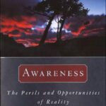 خرید و دانلود نسخه کامل کتاب Awareness: The Perils and Opportunities of Reality