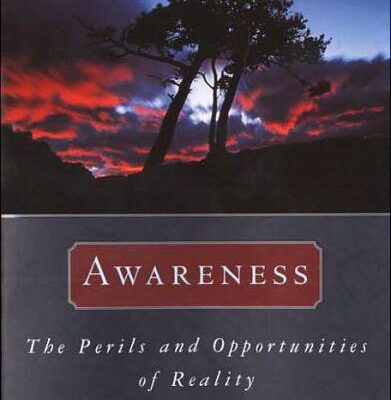 خرید و دانلود نسخه کامل کتاب Awareness: The Perils and Opportunities of Reality