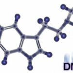 خرید و دانلود نسخه کامل کتاب Ayahuasca Analogues Pangean Entheogens
