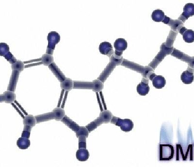 خرید و دانلود نسخه کامل کتاب Ayahuasca Analogues Pangean Entheogens
