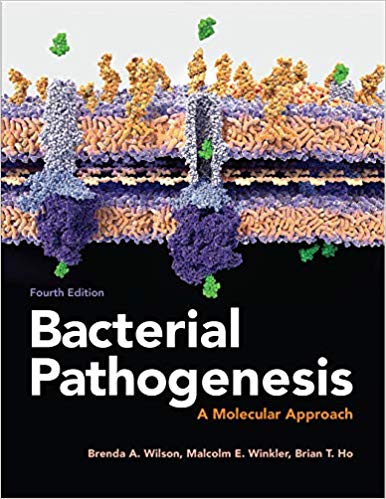 خرید و دانلود نسخه کامل کتاب Bacterial Pathogenesis: A Molecular Approach_68ba0194d10e4.jpeg خرید و دانلود نسخه کامل کتاب Bacterial Pathogenesis: A Molecular Approach