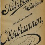 خرید و دانلود نسخه کامل کتاب Bad Salzbrunn in Schlesien mit seinem Oberbrunnen