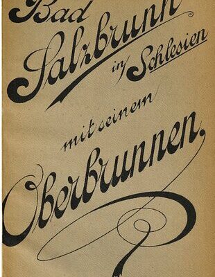خرید و دانلود نسخه کامل کتاب Bad Salzbrunn in Schlesien mit seinem Oberbrunnen