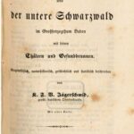خرید و دانلود نسخه کامل کتاب Baden und der untere Schwarzwald im Großherzogtum Baden mit seinen Thälern [Tälern] und Gesundbrunnen