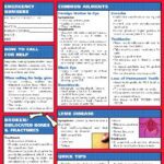 خرید و دانلود نسخه کامل کتاب BarCharts QuickStudy First Aid
