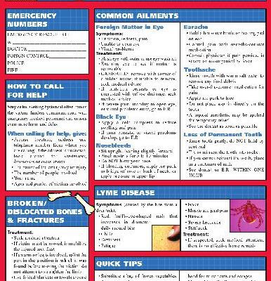 خرید و دانلود نسخه کامل کتاب BarCharts QuickStudy First Aid