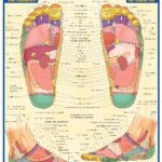 خرید و دانلود نسخه کامل کتاب BarCharts QuickStudy Reflexology