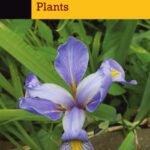 خرید و دانلود نسخه کامل کتاب Basic Illustrated Medicinal Plants
