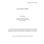 خرید و دانلود نسخه کامل کتاب Basic String Theory