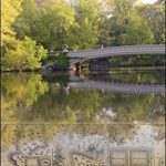خرید و دانلود نسخه کامل کتاب Before Central Park