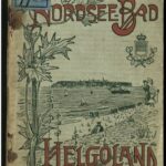 خرید و دانلود نسخه کامل کتاب Beschreibung des Nordseebades Helgoland
