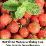 خرید و دانلود نسخه کامل کتاب Best Herbal Medicine and Healing Food From Nature to Prevent Insomnia Plus Make Sleep Better English Edition