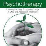 خرید و دانلود نسخه کامل کتاب Beyond Evidence-Based Psychotherapy: Fostering the Eight Sources of Change in Child and Adolescent Treatment (Counseling and Psychotherapy)