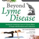 خرید و دانلود نسخه کامل کتاب Beyond Lyme Disease: Healing the Underlying Causes of Chronic Illness in People with Borreliosis and Co-Infections