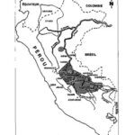 خرید و دانلود نسخه کامل کتاب Bibliografía regional: los Campa (Arawak) de la selva central y sur del Perú