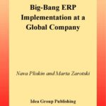 خرید و دانلود نسخه کامل کتاب Big-Bang ERP Implementation at a Global Company