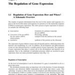 خرید و دانلود نسخه کامل کتاب Biochemistry of Signal Transduction and Regulation
