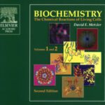 خرید و دانلود نسخه کامل کتاب Biochemistry: The Chemical Reactions of Living Cells