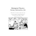خرید و دانلود نسخه کامل کتاب Biological physics (free web version, Dec. 2002)