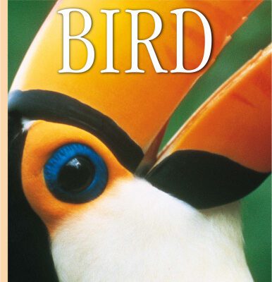 خرید و دانلود نسخه کامل کتاب Bird (DK Eyewitness Books)