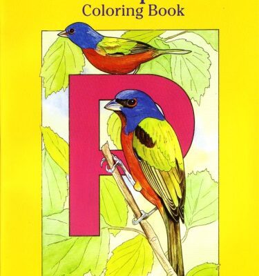 خرید و دانلود نسخه کامل کتاب Birds Alphabet Coloring Book (Dover Coloring Books)