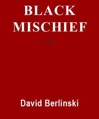 خرید و دانلود نسخه کامل کتاب Black Mischief: Language, Life, Logic, Luck