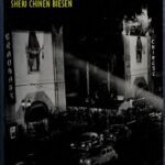 خرید و دانلود نسخه کامل کتاب Blackout: World War II and the Origins of Film Noir