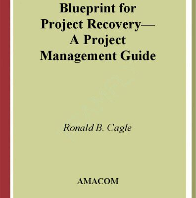 خرید و دانلود نسخه کامل کتاب Blueprint for Project Recovery–A Project Management Guide: The Complete Process for Getting Derailed Projects