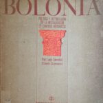 خرید و دانلود نسخه کامل کتاب Bolonia: Política y metodología de la restauración de centro históricos