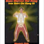 خرید و دانلود نسخه کامل کتاب Bone Marrow Nei Kung
